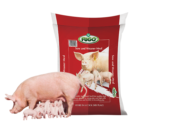 Sow & Weaner