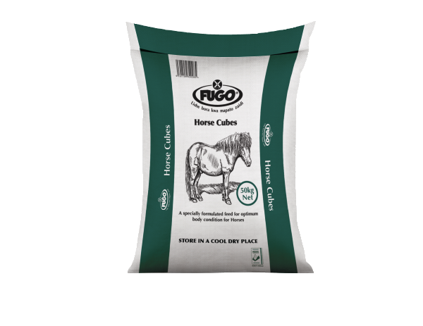 Horse Cubes