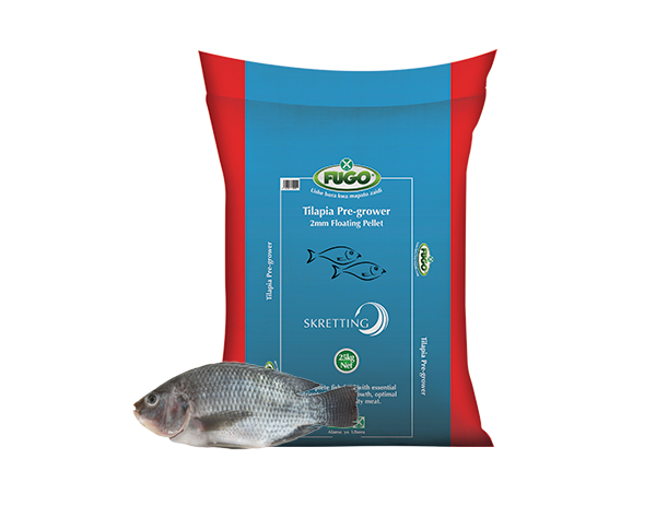 Tilapia Pre-Grower