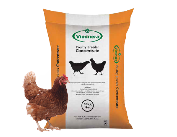 Poultry Breeder Concentrate