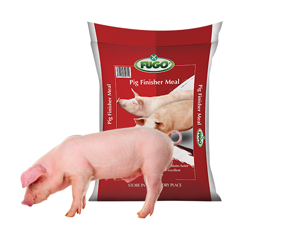 Pig Finisher