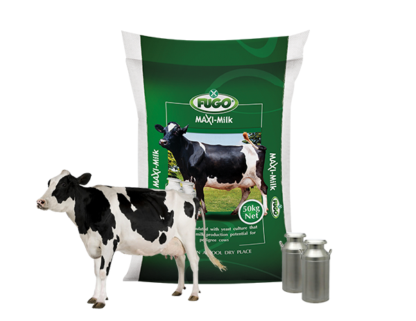 Maxi Milk