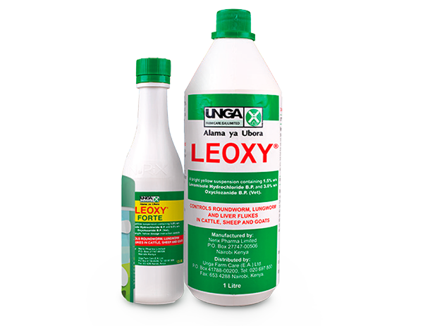 Leoxy