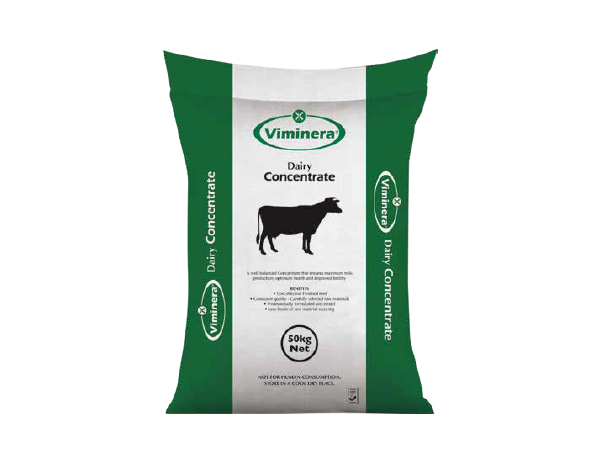 Dairy Concentrate