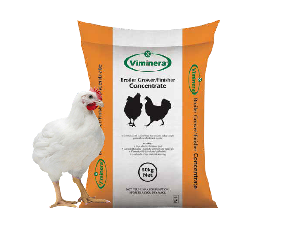 Broiler Grower/ Finisher