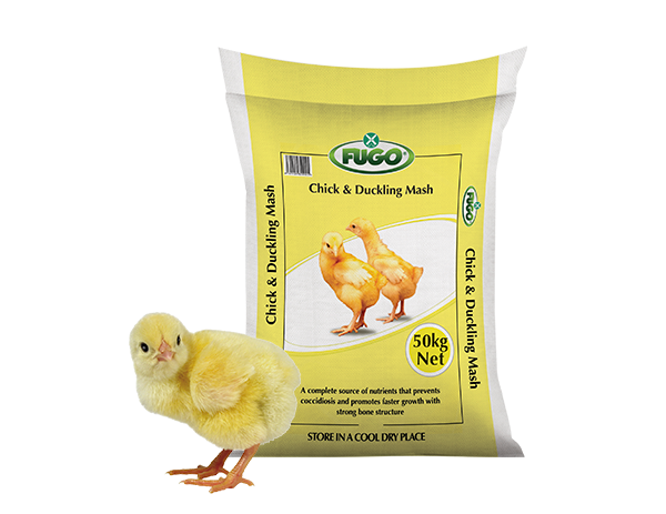 Chick and Duckling Mash
