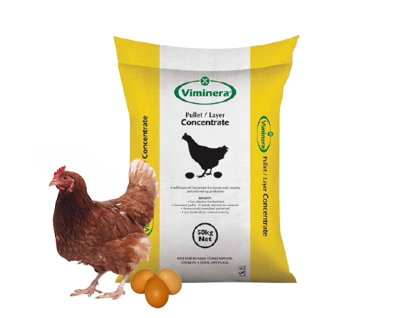 Pullet Layer Concentrate