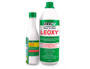 Leoxy