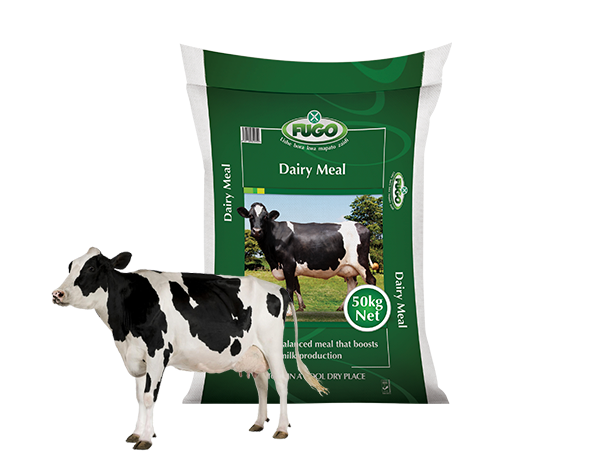 Dairy Meal